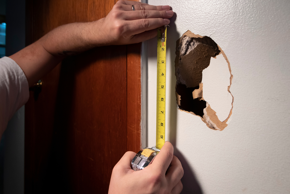 drywall repair redbridge ontario
